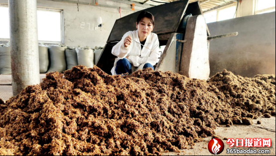 黑小麥酒與健康867.png