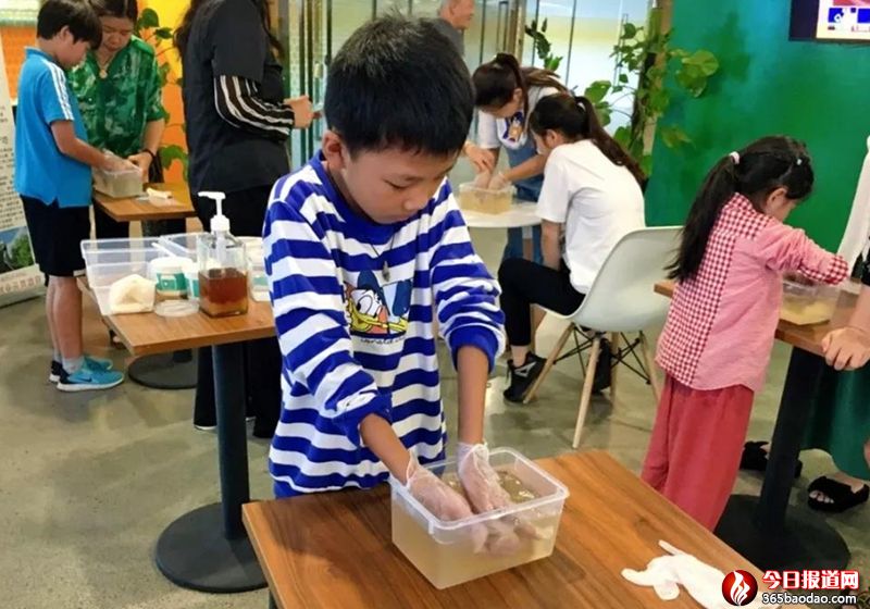 微信圖片_20190817061732.jpg