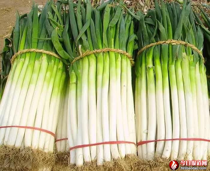 微信圖片_20190411054626.jpg