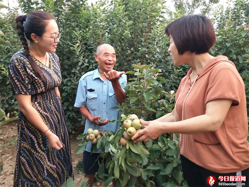 紅玫瑰.jpg