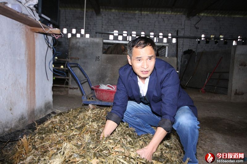 廣西恭城這位軍轉(zhuǎn)干部第一書(shū)記實(shí)干巧干“十大脫貧錦囊”助貧困村脫貧摘帽 (6).JPG