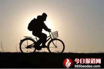 濕地王子——天津濱海北大港濕地里的守望者1775_副本.jpg