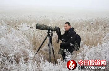濕地王子——天津濱海北大港濕地里的守望者1285_副本.jpg