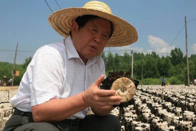 微信圖片_20220917232123.jpg