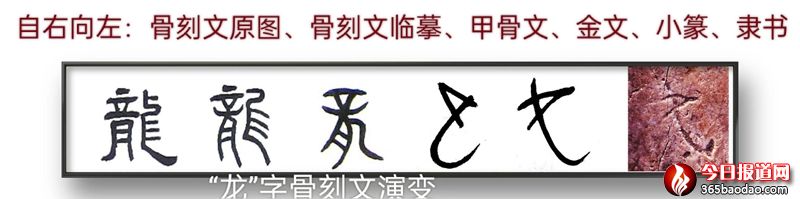 微信圖片_20240214234847_副本.jpg