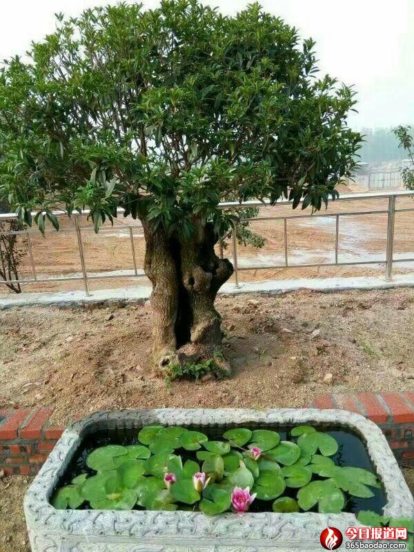 微信圖片_20210303000749.jpg