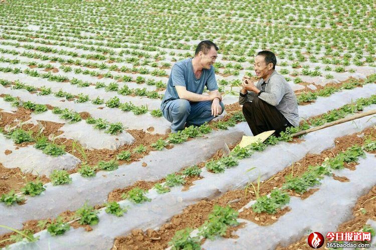 微信圖片_20210303000742.jpg