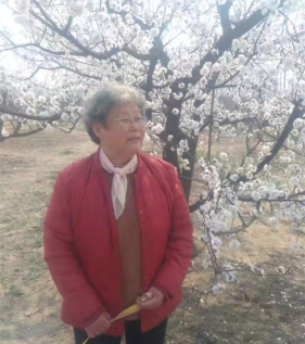 花兒為什么這樣紅1876.png